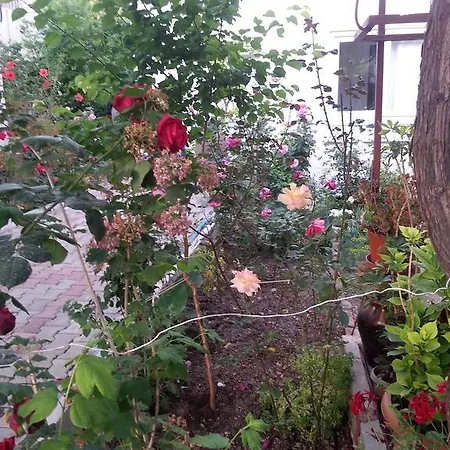Homestay szállás Keramos